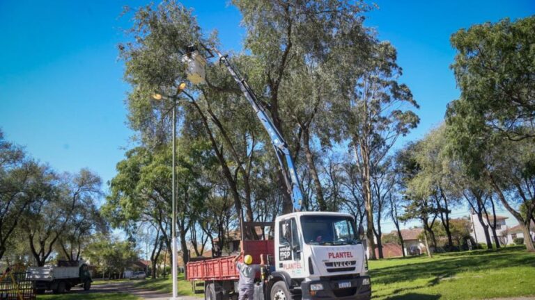 Mar del Plata: Repotenciación de luminarias en el Parque Primavesi