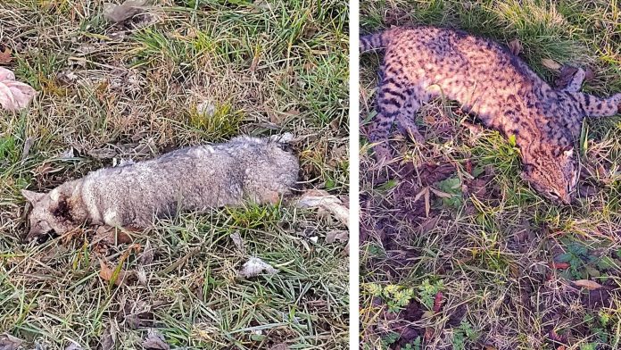 Bienvenidos al Parque de La Muerte Pereyra Iraola denuncian inacción Estatal