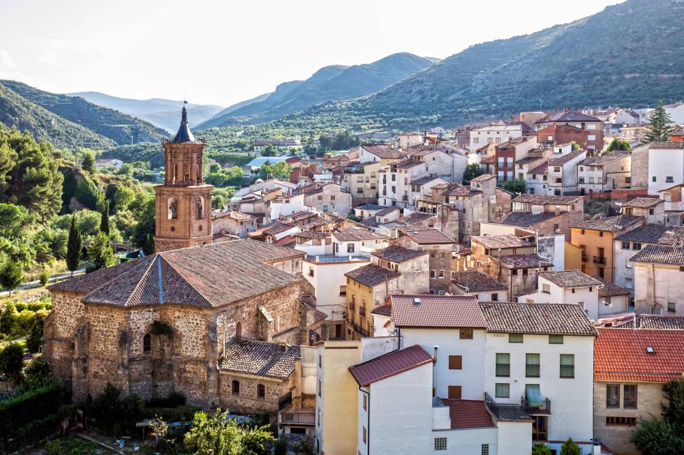 La jojoba riojana transita el desafío de exportar más tras conseguir la quita total de retenciones