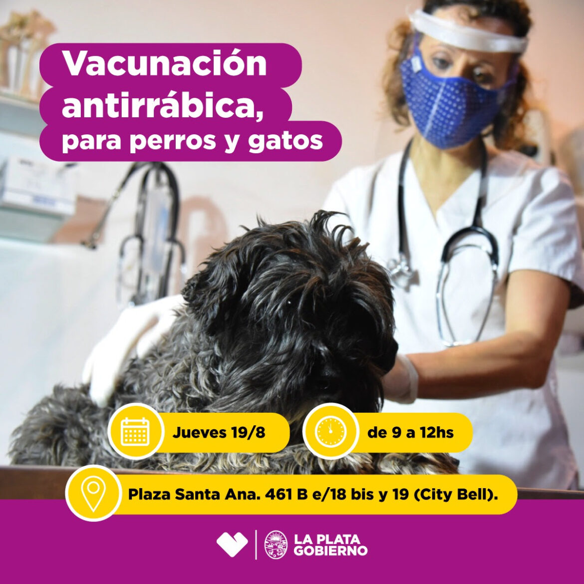 La Plata: Vacunación antirrábica gratuita para perros y gatos en City Bell