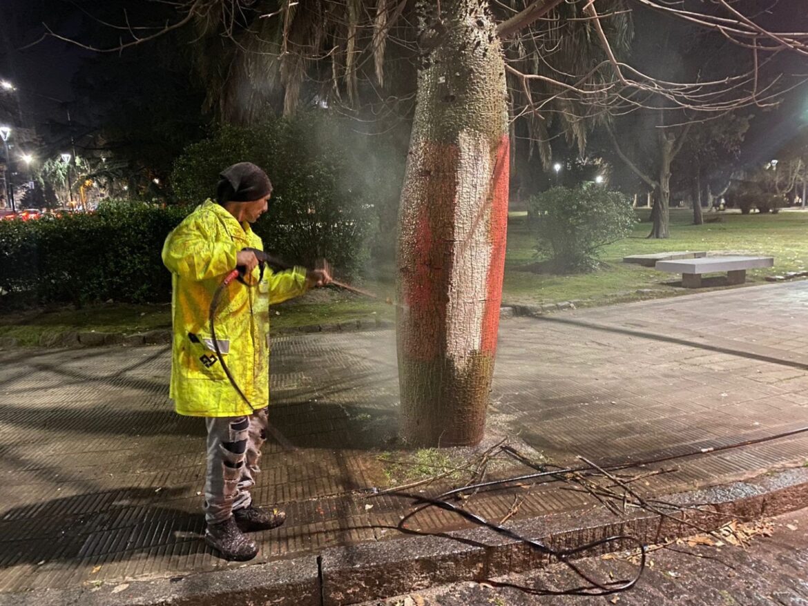 Tras los incidentes, el Municipio platense encaró junto a los clubes la reparación del Paseo del Bosque