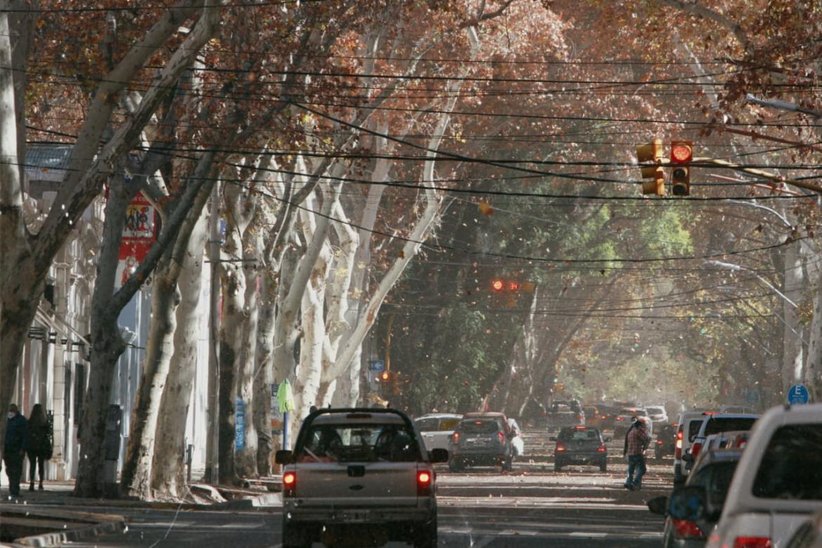 Emiten una advertencia naranja por el viento zonda en Mendoza
