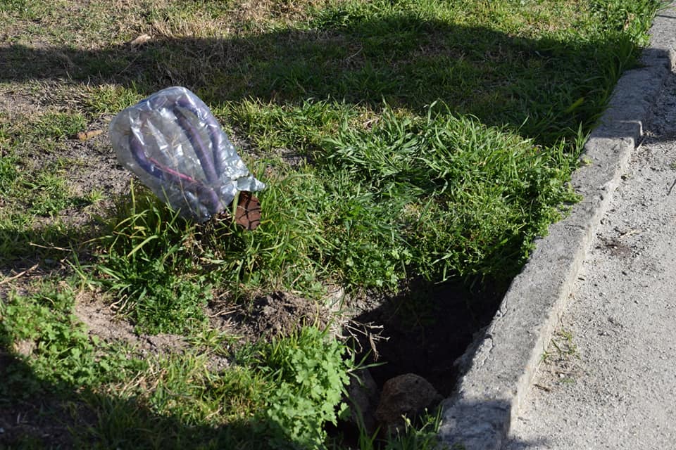 Una joven platense casi termina electrocutada por cables que salen del piso en la rambla de 32