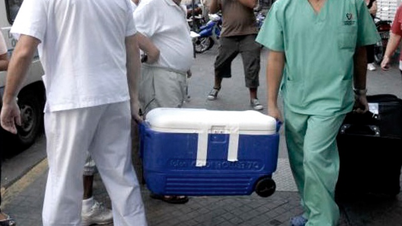 Se realizaron más de 1.000 trasplantes de órganos en lo que va del año