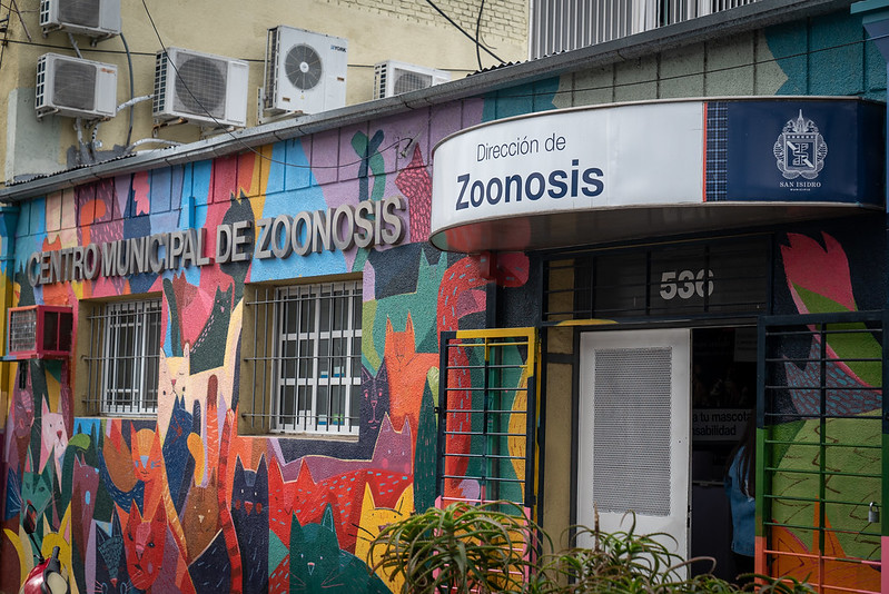 San Isidro: La salud de las mascotas también es prioridad para el municipio