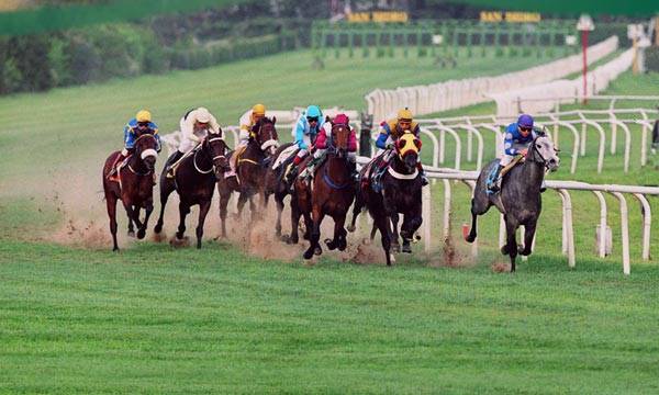 San Isidro: Se correrán las grandes carreras del turf