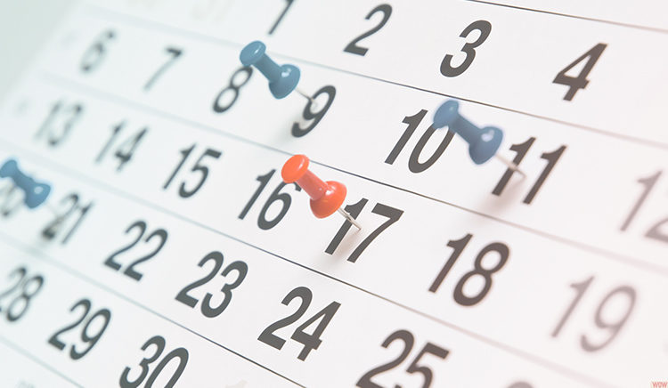 ANSES: Calendarios de pagos del miércoles 3 de noviembre
