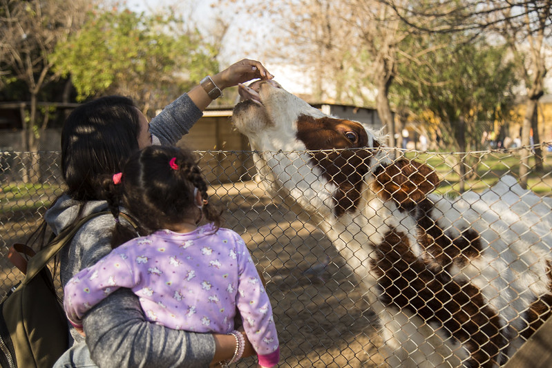 Actividades para el fin de semana en San Isidro