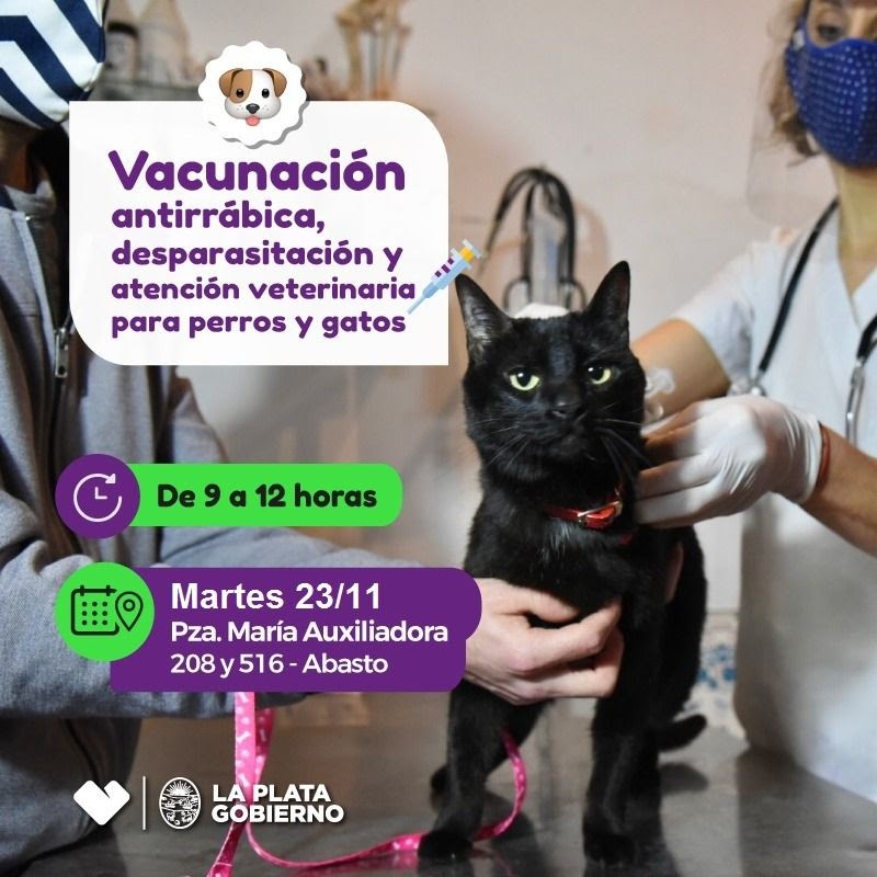 El consultorio veterinario móvil de la Municipalidad llega a Abasto
