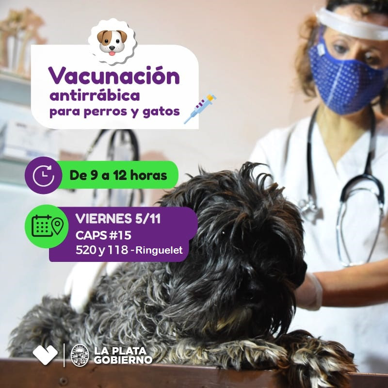 Llega a Ringuelet una nueva jornada de vacunación veterinaria gratuita