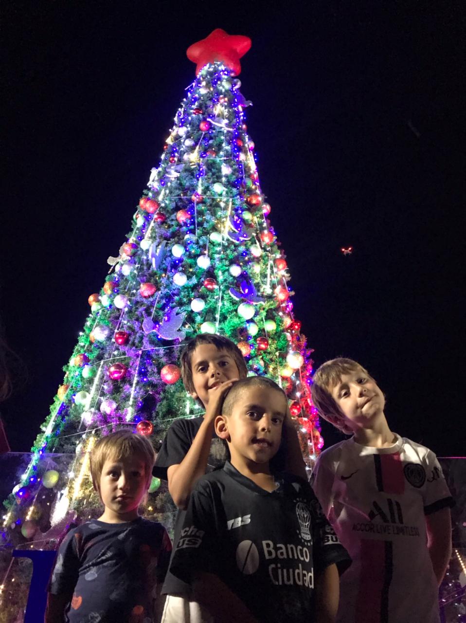 Llegó la Navidad a San Isidro: Se encendieron las luces del enorme Árbol del Puerto
