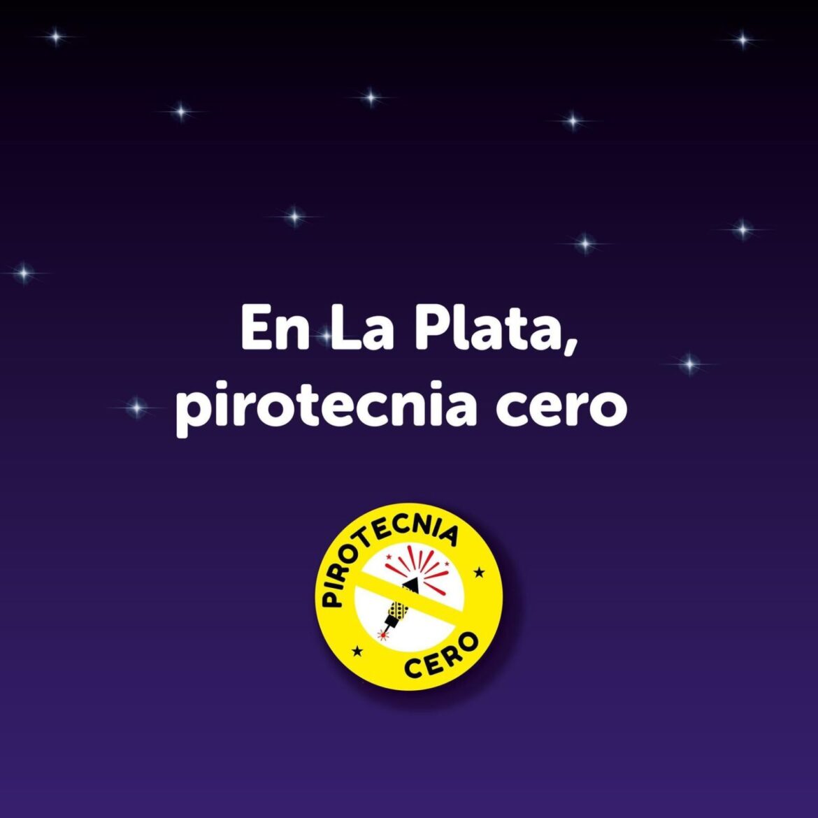 Impulsan una campaña para que Navidad y Año Nuevo se festejen con “Pirotecnia cero”