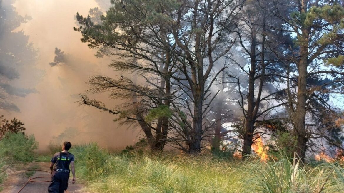 Buscan controlar un incendio forestal en casi 100 hectáreas al sur de Mar del Plata