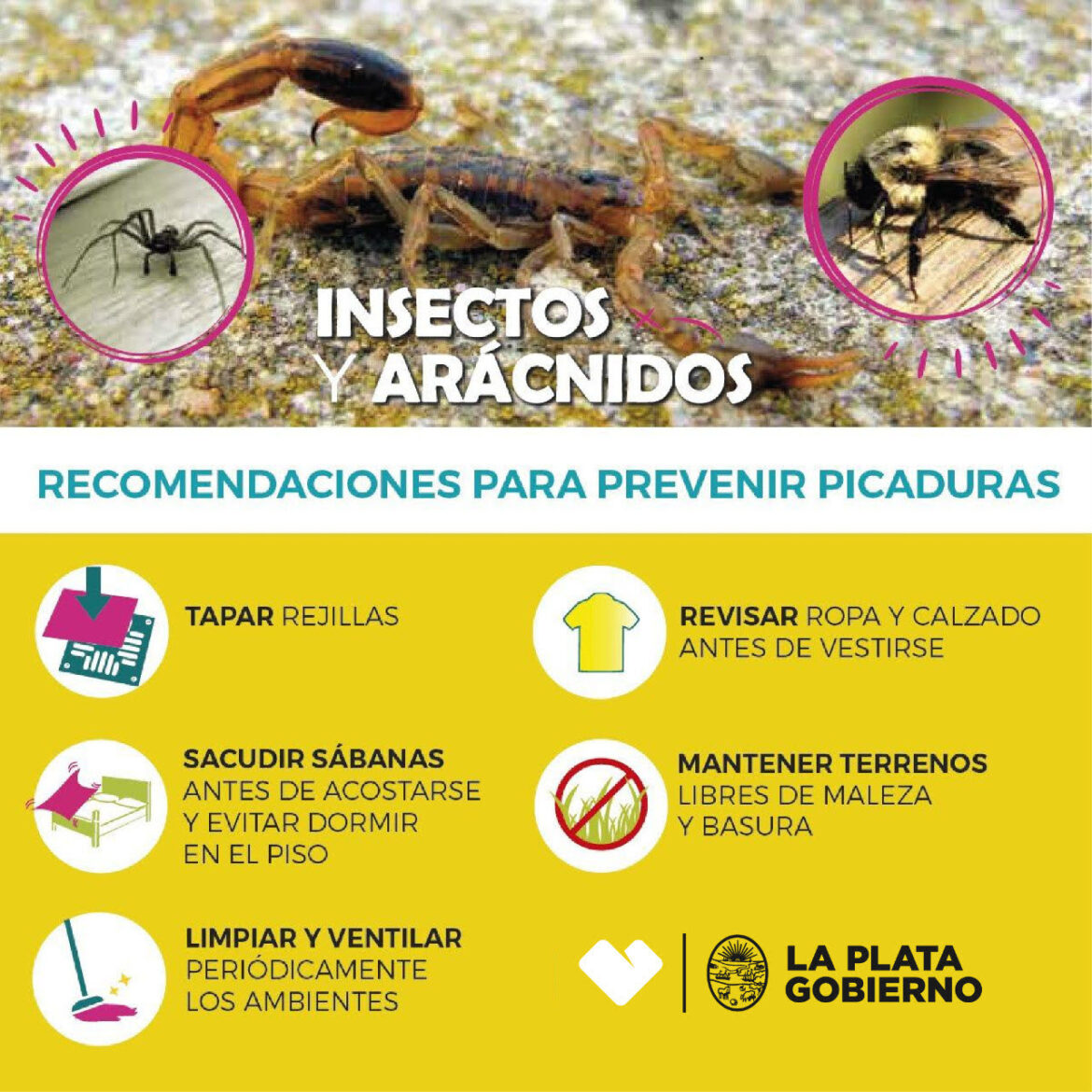 La Plata: Convocan a una charla abierta sobre cuidados ante la posible aparición de alacranes
