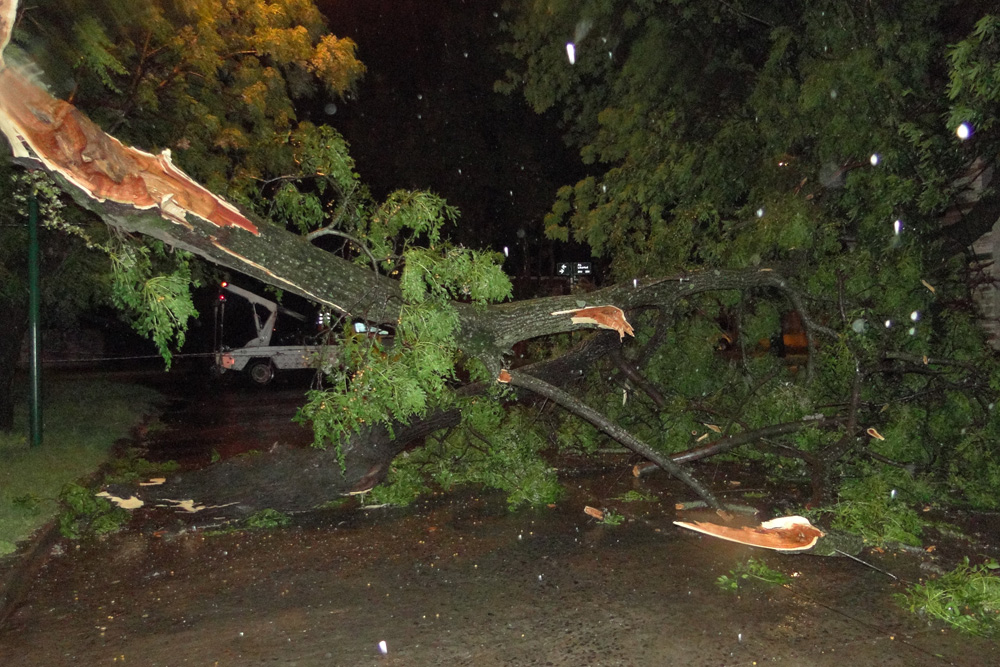 Voladura de techos, caída de postes y ramas por temporal de viento y lluvia en Villa Serrana