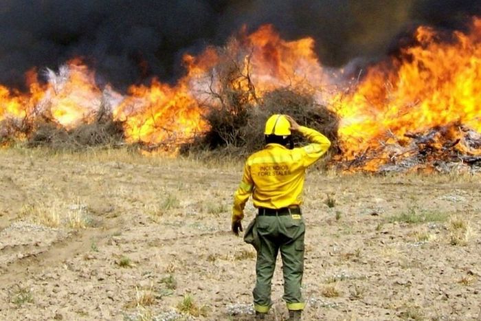 Exigen medidas contra los incendios en la Provincia