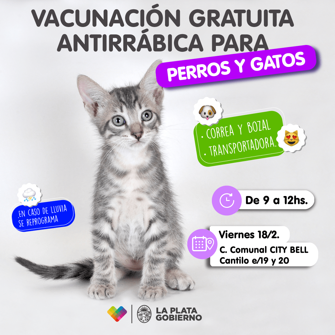 La Plata: Vacunación antirrábica y desparasitación gratuita para perros y gatos en City Bell