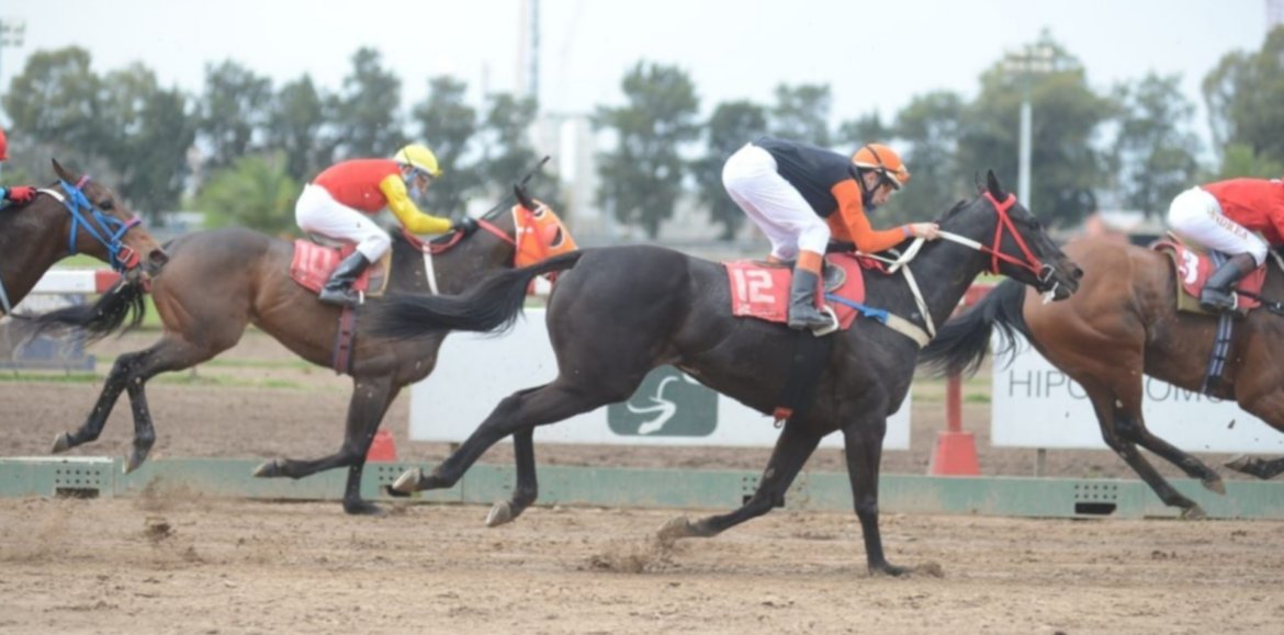 Se corre el Clásico Fallow en el hipódromo de San Isidro con 855 mil pesos de premio
