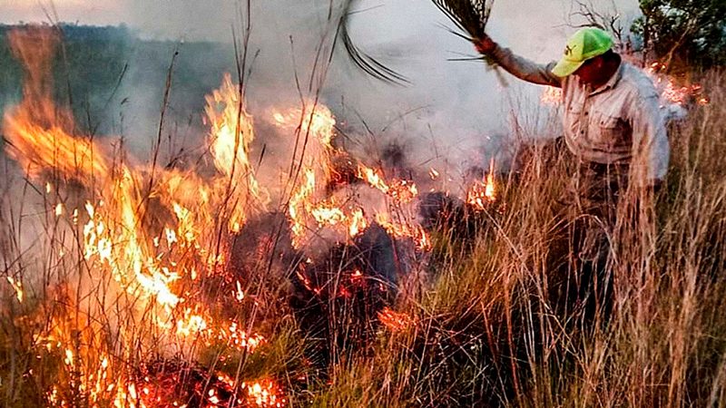 Ambiente reporta ocho focos de incendio activos en Corrientes y otros seis en Misiones