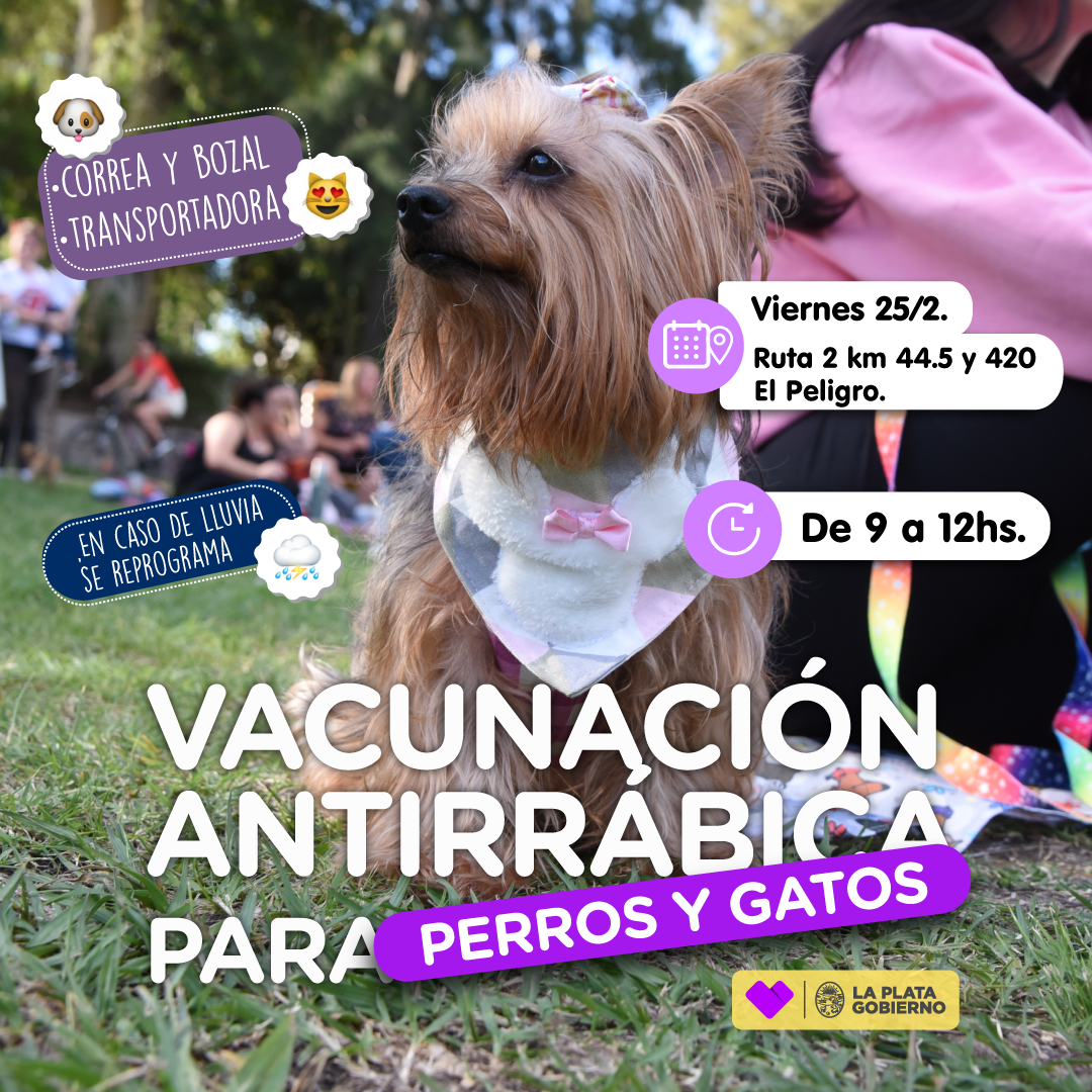 La Plata: Mascotas Nueva jornada de vacunación veterinaria y desparasitación gratuita en El Peligro