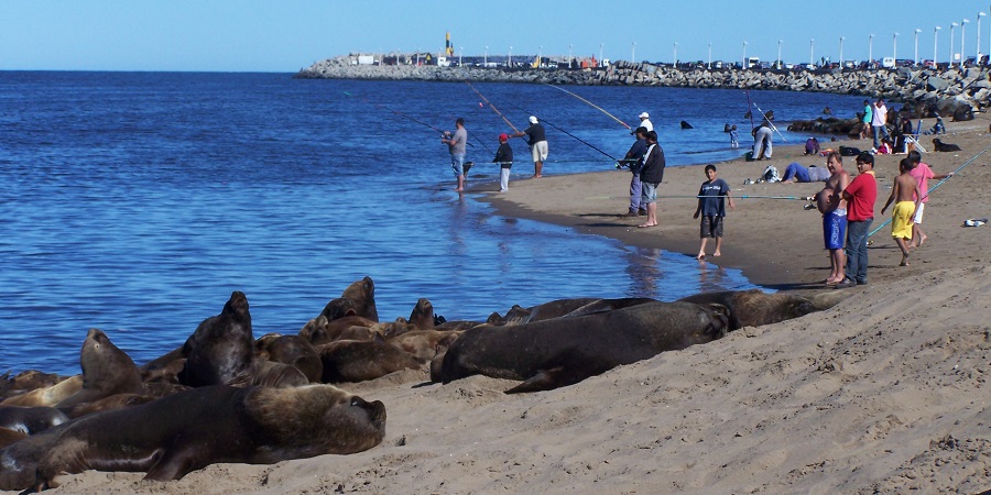 El programa Nacional «Mejor Verano» llega este fin de semana a Necochea