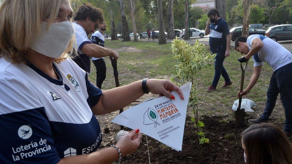 Gimnasia rendirá homenaje a las Madres de Plaza de Mayo en el estadio del Bosque