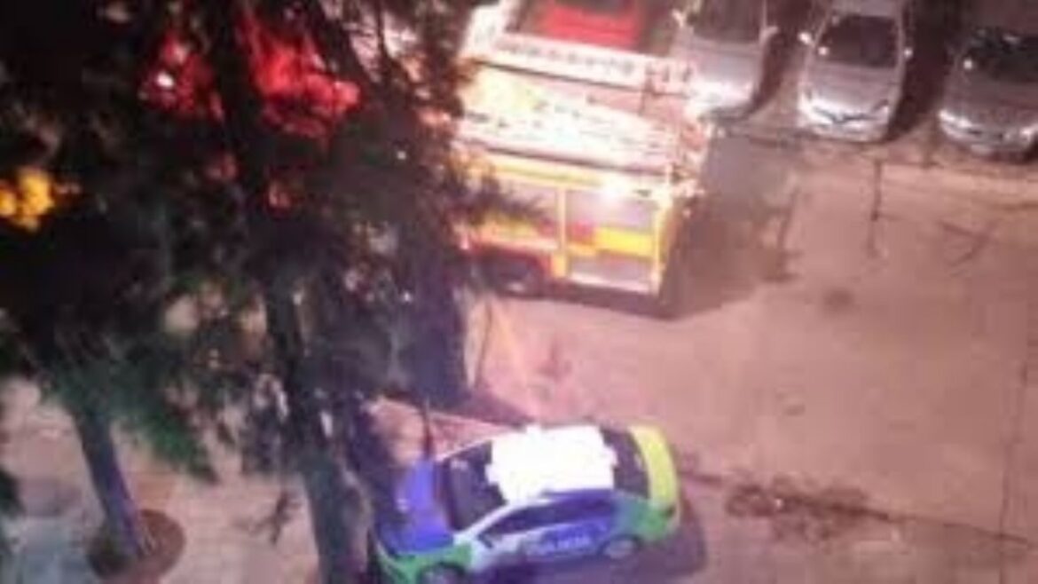 Una mujer de 80 años está grave al ser golpeada con un martillo en Zárate y detienen a su nieto