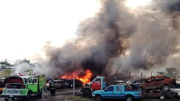 Mar del Plata: Confirman que dos jóvenes iniciaron el fuego del predio municipal y quedaron detenidos