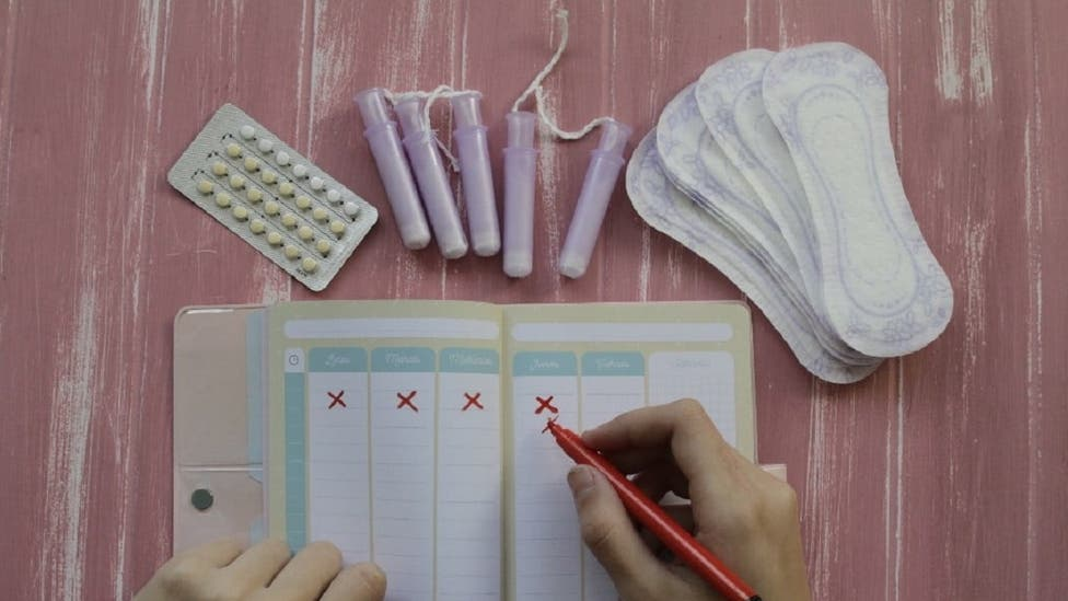 Proponen que la Municipalidad de La Plata entregue productos de gestión menstrual a estudiantes