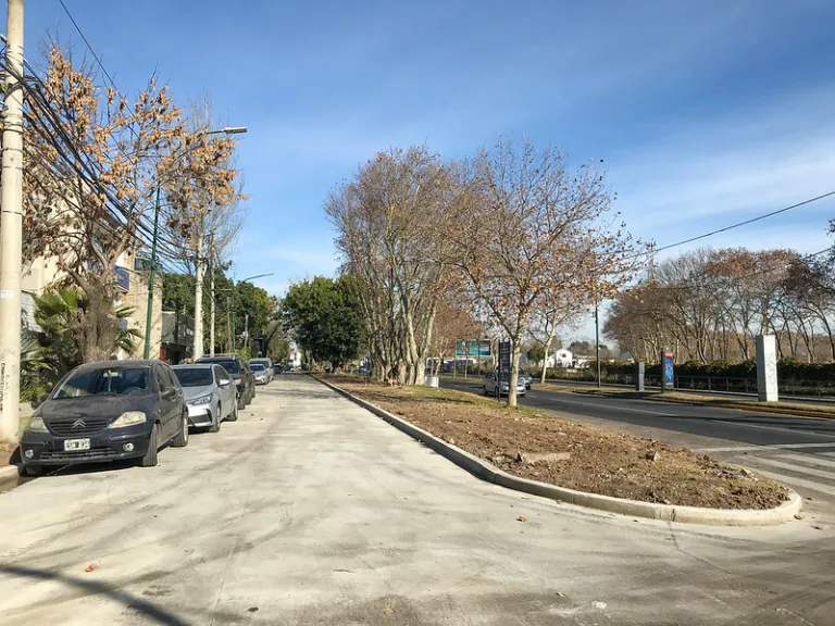 San Isidro: avanzan las obras para asfaltar 38 cuadras de Dardo Rocha