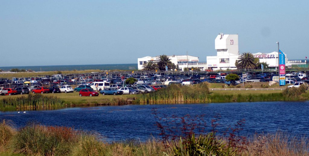 Mar del Plata: Realizarán una jornada ambiental en Punta Mogotes, se recibirán desechos tecnológicos