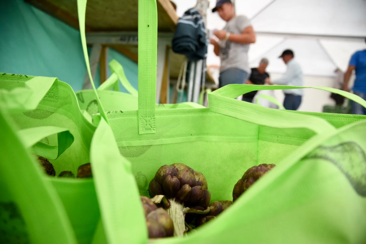 La Plata se prepara para la gran Fiesta del Alcaucil