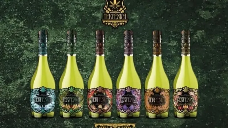 Autorizan a una bodega argentina a elaborar el primer vino con cannabis del país