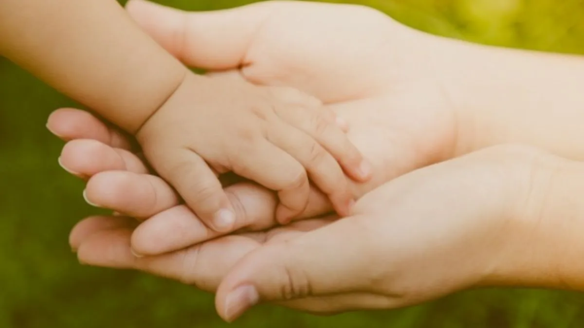 Cuáles son los requisitos y cómo es la inscripción para adoptar