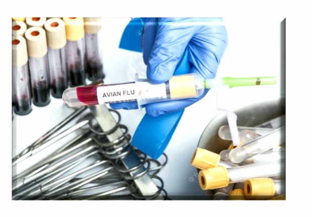 Científicos de Misión-ar Virus Shield descubrieron la cura para la Gripe Aviar, aprobados por la FDA, EPA,OMRI,SENACSA, poniéndose a disposición del Estado Nacional