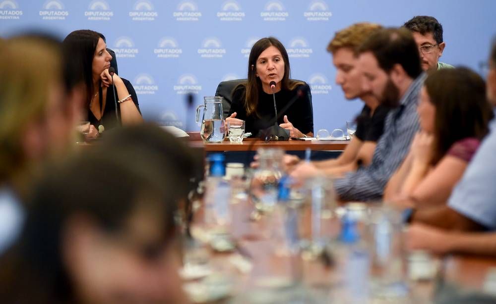 Ley de plan de pago de deuda previsional: Por que es importante su sanción