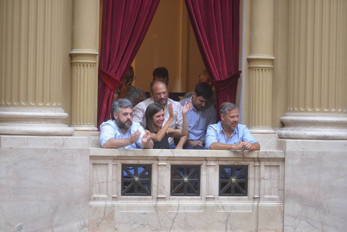 Raverta: «Celebramos esta ley tan esperada por miles de argentinas y argentinos»