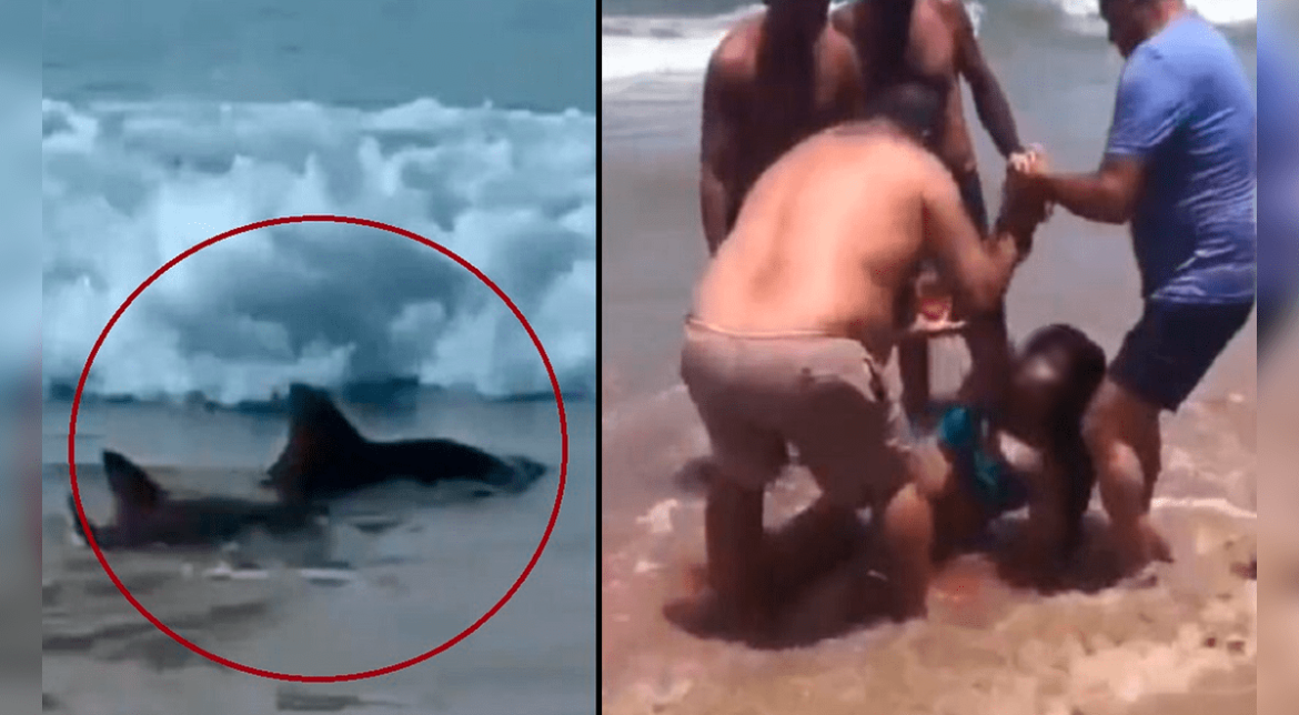 Video: Dos adolescentes fueron mutilados por ataques de tiburones en las playas de Brasil