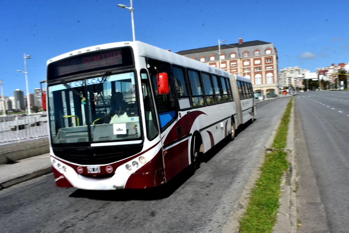 Vito Amalfitano: «Montenegro sólo trabaja para aumentar el boleto» en Mar del Plata