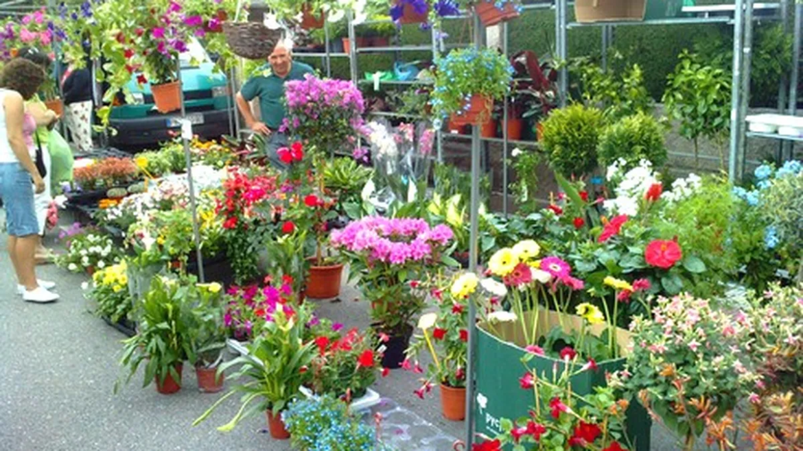 El Paseo del Bosque será sede de tres jornadas a puro viverismo y jardinería