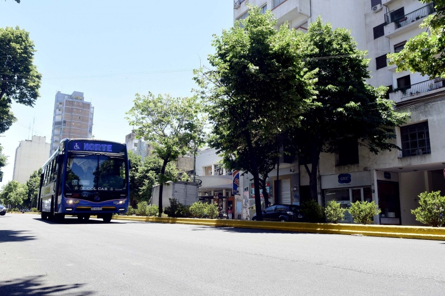 La Plata: funcionamiento de los servicios municipales durante la jornada electoral del domingo