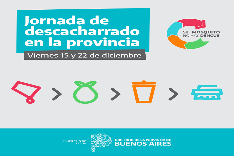 Dengue: La Provincia realiza jornadas de descacharrado intensivo en municipios