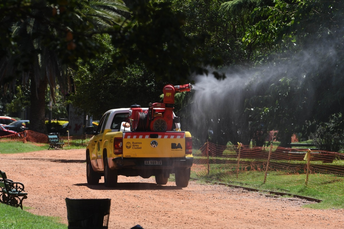 Invasión de mosquitos: pueden transmitir Encefalitis Equina y su reducción podría demorar 10 días