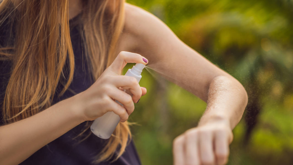 Cuáles son los 4 repelentes caseros para ahuyentar mosquitos que sí funcionan