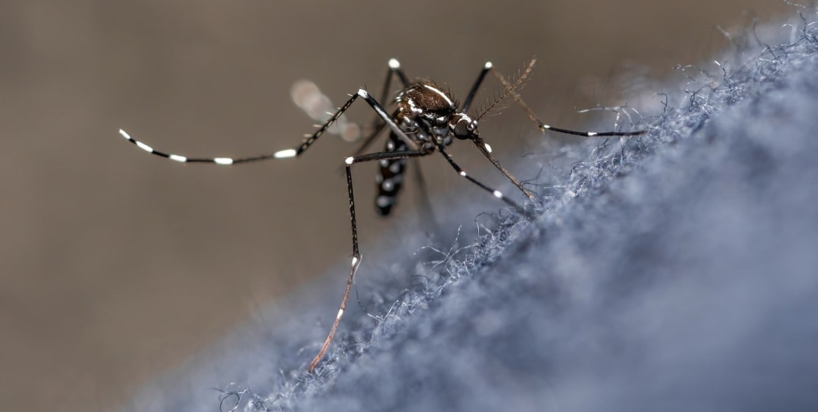 Se registra màs de 7.800 casos positivos en provincia de Buenos Aires, según funcionaria