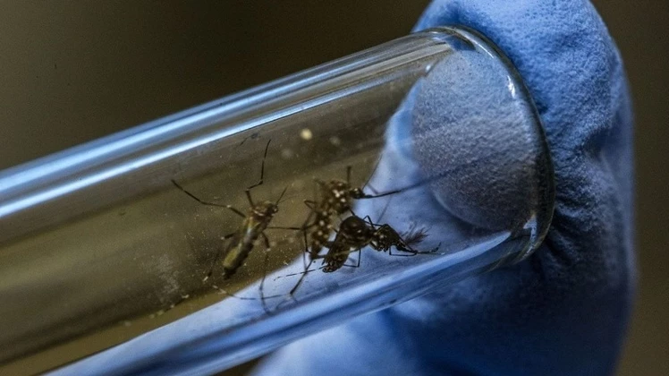 Brote histórico de dengue: De una semana a otra, se sumaron 27 fallecidos y 31.304 contagios.