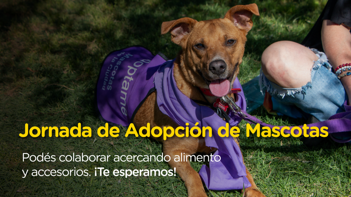 Jornada de Adopción de Mascotas en la Ciudad