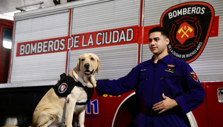 Zeus, el perro superhéroe que busca, nada y vuela para rescatar a vecinos ante una emergencia