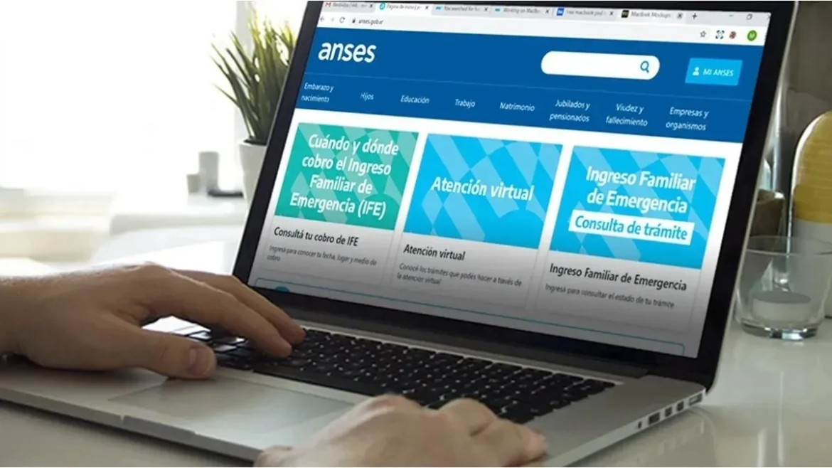 Cómo tramitar la certificación negativa en Anses
