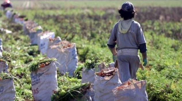 TRABAJO INFANTIL: LOS DERECHOS SON INNEGOCIABLES